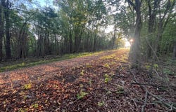 Farm Road 2170, Exeter, MO 65647