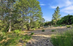 9003 Fox Drive, Cobb, CA 95426