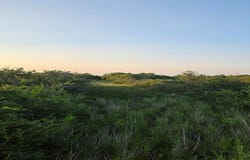 Carabajal Road, Seadrift, TX 77983