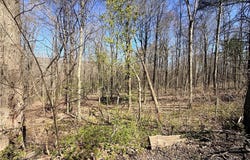 Fitzgerald Road, Burdett, NY 14818