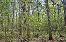 0 Hwy 45 Alt, West Point, MS 39773