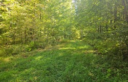Off CTH S lot: 1, Phillips, WI 54555