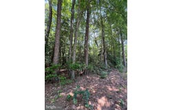 107 W VEGA Way, MILTON, DE 19968