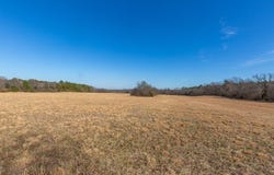 Polk Road 626, Mena, AR 71953