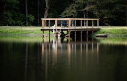 123 CR 430, PARIS, MS 38949