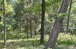149 Sir Wilburn Way, Alvaton, KY 42122