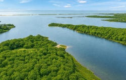 114 Meetinghouse Way, Edgartown, MA 02539