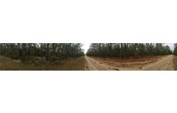 165 7th Way, Interlachen, FL 32148