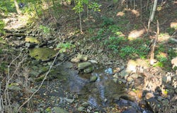 2WP State Hwy 41, Afton, NY 13730