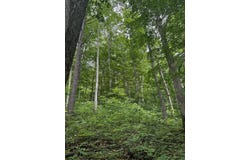 2041 Cat Creek Road, Stanton, KY 40380