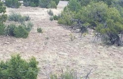 Little Bear Circle lot 54, South Fork, CO 81154