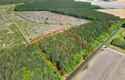 DOWNS, NEWARK, MD 21841
