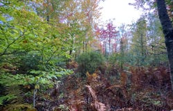 Baker Road, Bangor, NY 12956