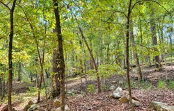 Perry Road, Golconda, IL 62938