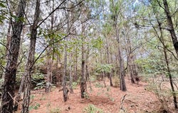 Chenault Drive, Tract C, Saluda, SC 29138