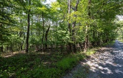 SUPINLICK RIDGE RD, BROADWAY, VA 22815