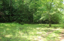 Slate Stone lot: 5,6, Hayesville, NC 28904