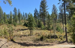 NNA Stone Rd Lot 5 (20.0 Acres), Blanchard, ID 83804