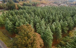 Frost Rd, Dallas, OR 97338