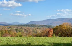 Bruce Cross Rd, Lexington, NY 12468