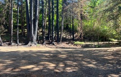 2536 SE MANNTHEY Rd, Corbett, OR 97019