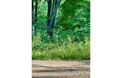 Chippewa Trail, Luck, WI 54853