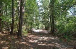 T.B.D., Grayson, LA 71435