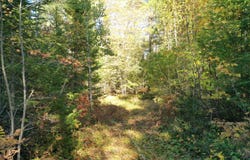 E 8 Mile Rd, Sugar Island, MI 49783