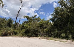 Sturgis Cir, Cedar Key, FL 32625