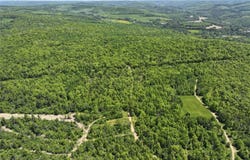 River Road, Belmont, NY 14813