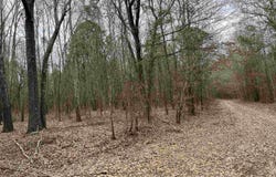 Tract 4 Venus Rd, White Oak, TX 75693