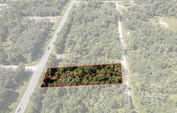 KNOXVILLE Drive, WEBSTER, FL 33597