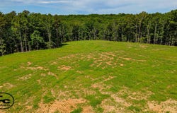 7100 Wolf Pen Rd, Pocahontas, TN 38061