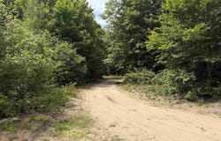 13544 Aylsworth Road, Beulah, MI 49617