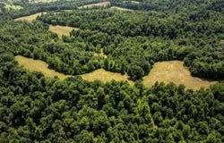 1990 State Highway 556, Sandy Hook, KY 41171