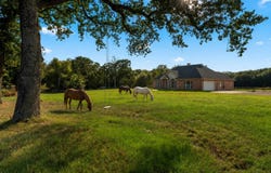 14856 Fm 59, Athens, TX 75751