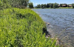 Hwy 287 NE, Ennis, MT 59729
