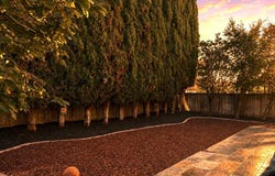 4193 Monet CIR, SAN JOSE, CA 95136