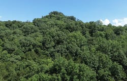 Hackett Hollow Ln lot: 1, Pleasant Shade, TN 37145