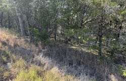Dew Drop, Horseshoe Bay, TX 78657