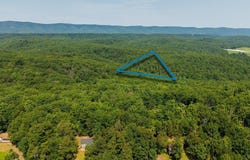 N MAPLE RD, MOUNT JACKSON, VA 22842
