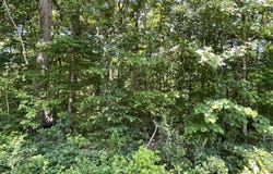 2 Shady Lane, Burlington, NC 27217