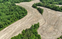 1200 Sand Ridge Bargerton Rd, Lexington, TN 38351