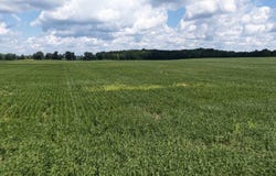 Boughtonville Rd E, Greenwich, OH 44837