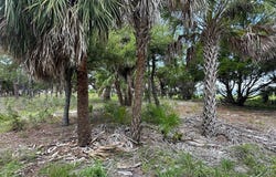 SW Airport Rd, Cedar Key, FL 32625