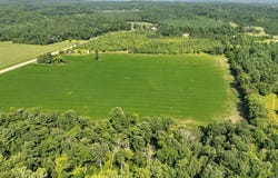 State Highway 79, Boyceville, WI 54725