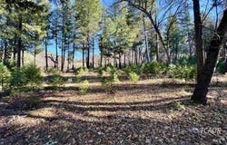 240 Oak Ranch Rd, Lewiston, CA 96052