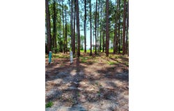 164 Royal Tern Way, Carrabelle, FL 32322