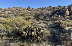 In-Ko-Pah Park Rd, Jacumba, CA 91934