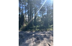 Slash Pine Trail, Fort Pierce, FL 34945